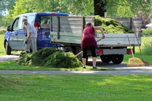 Landscaping courses in Kenya